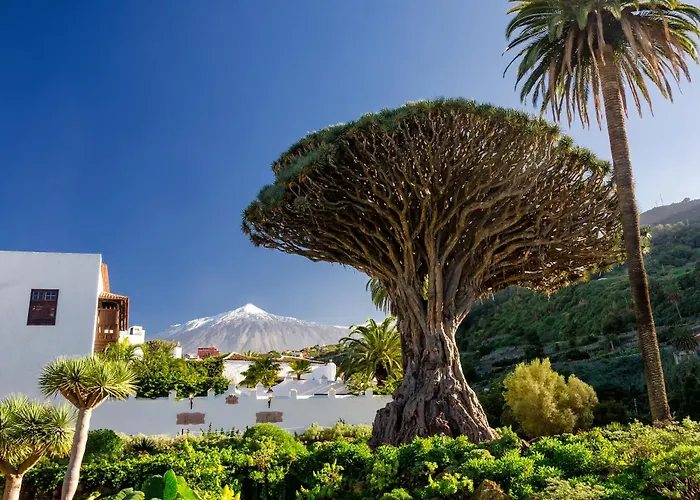 Eden Fabulosas Vistas Al Mar Y Acantilados Lägenhet Acantilado de los Gigantes